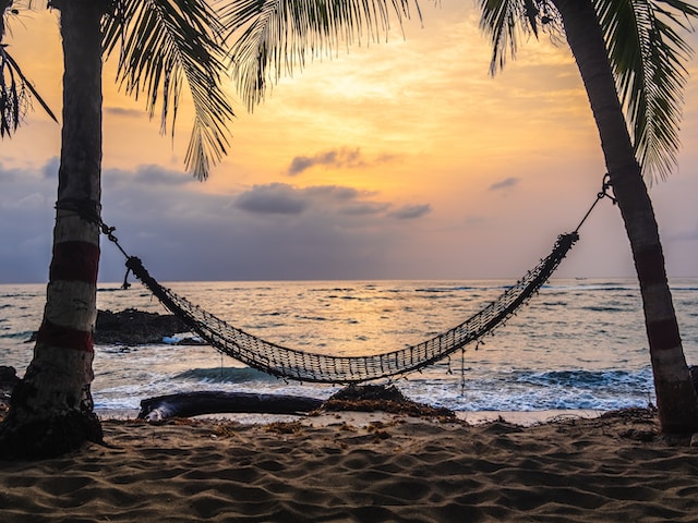 Unwind and Reconnect with Nature: The Tech Harts Hammock Experience